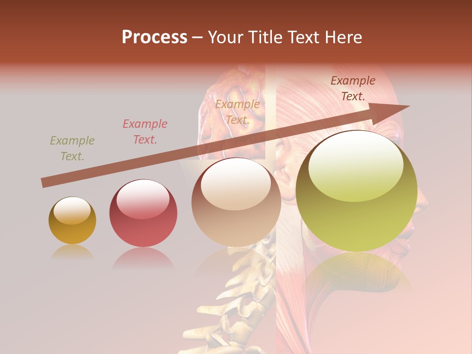 Skeleton Medic Tendon PowerPoint Template