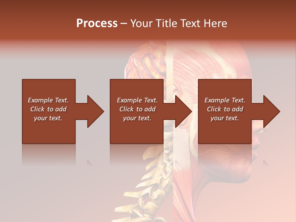 Skeleton Medic Tendon PowerPoint Template