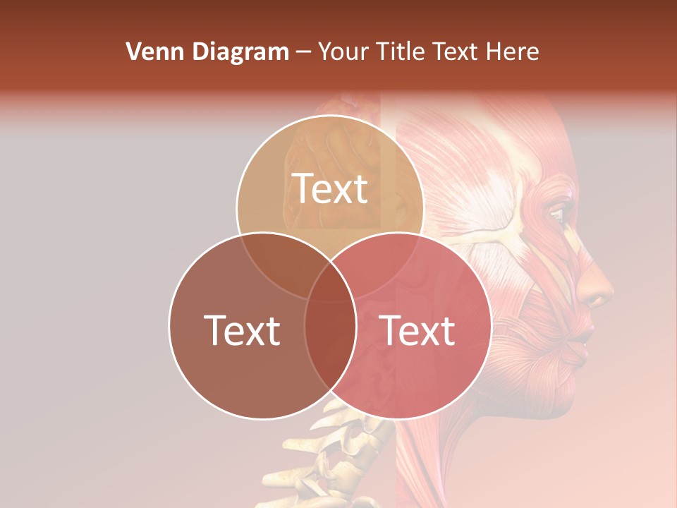 Skeleton Medic Tendon PowerPoint Template