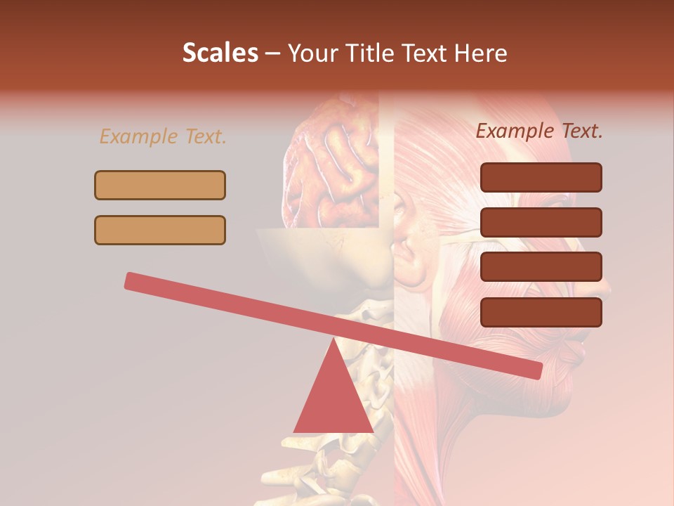 Skeleton Medic Tendon PowerPoint Template