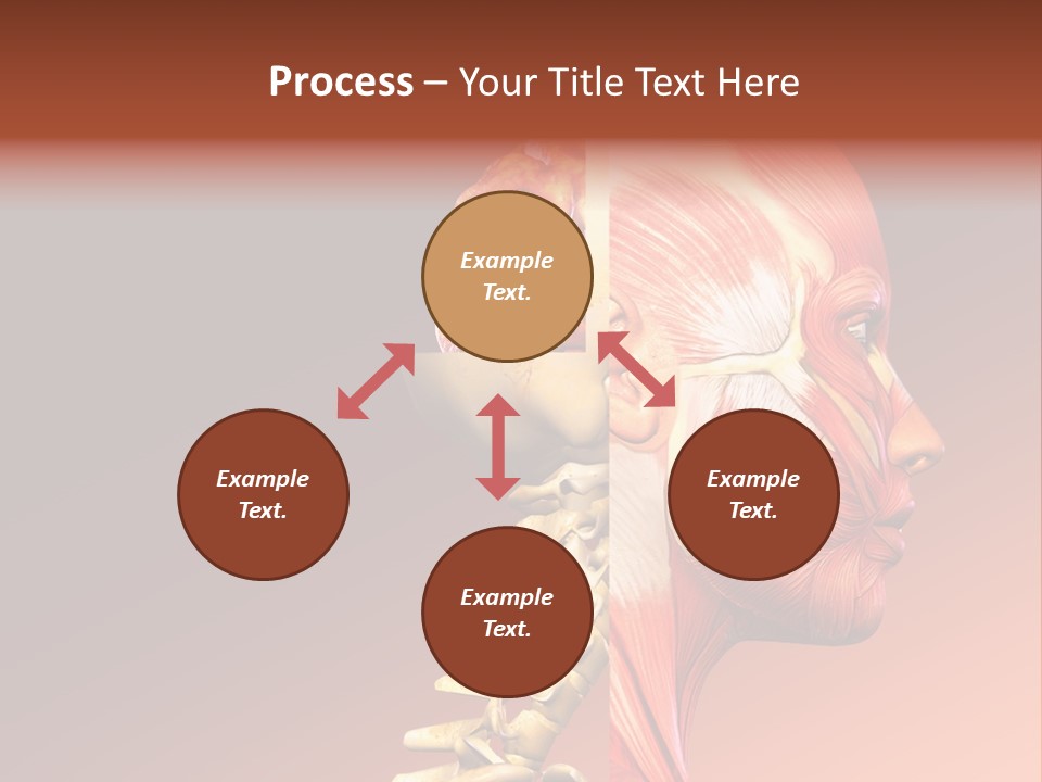 Skeleton Medic Tendon PowerPoint Template