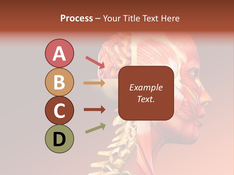 Skeleton Medic Tendon PowerPoint Template
