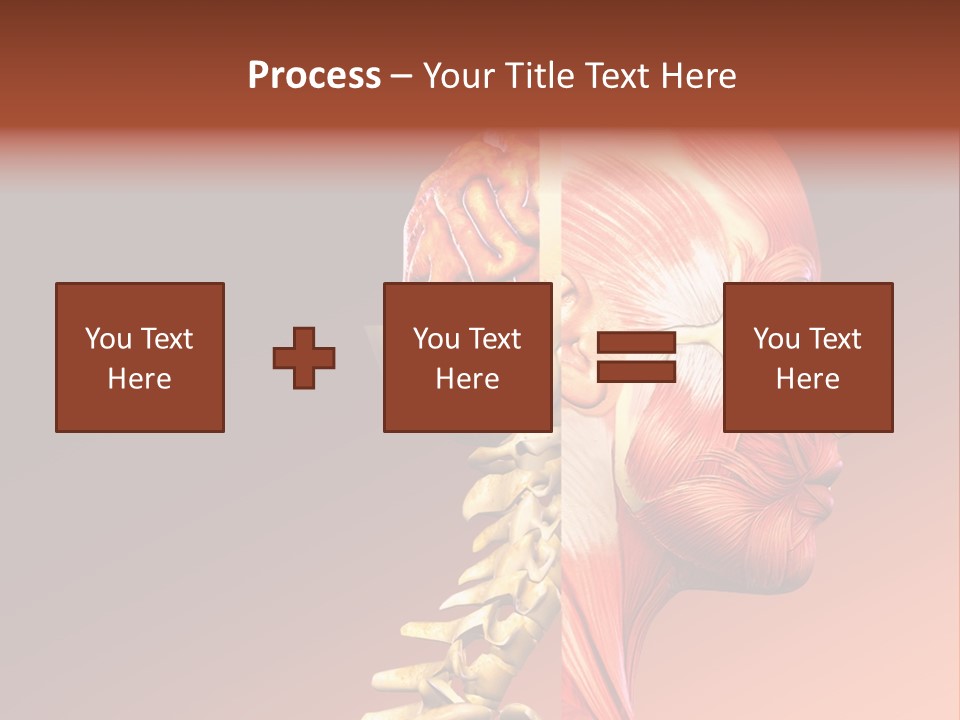 Skeleton Medic Tendon PowerPoint Template