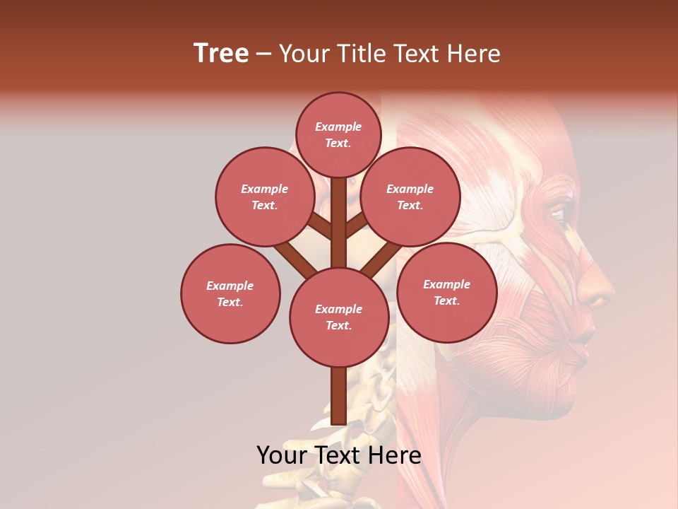 Skeleton Medic Tendon PowerPoint Template