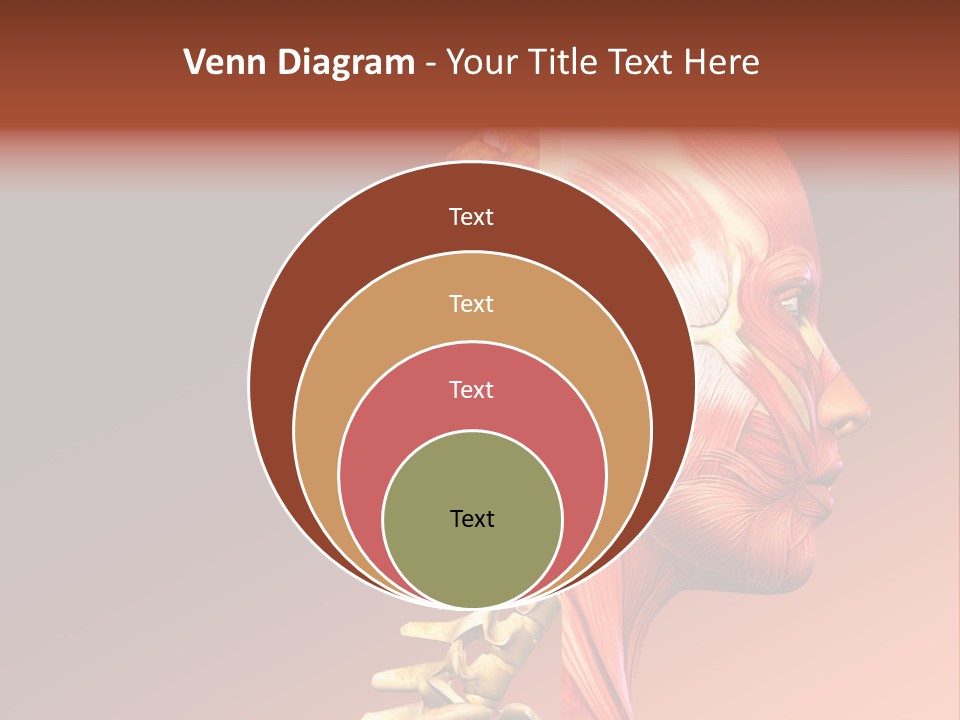 Skeleton Medic Tendon PowerPoint Template