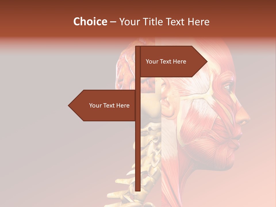 Skeleton Medic Tendon PowerPoint Template