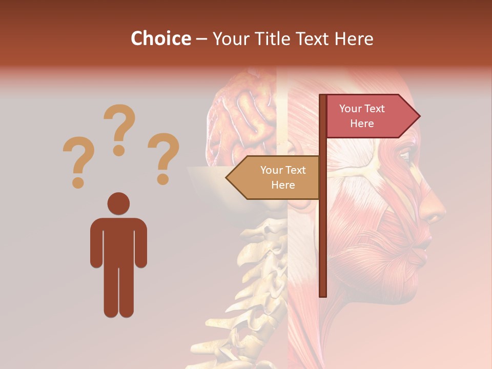 Skeleton Medic Tendon PowerPoint Template
