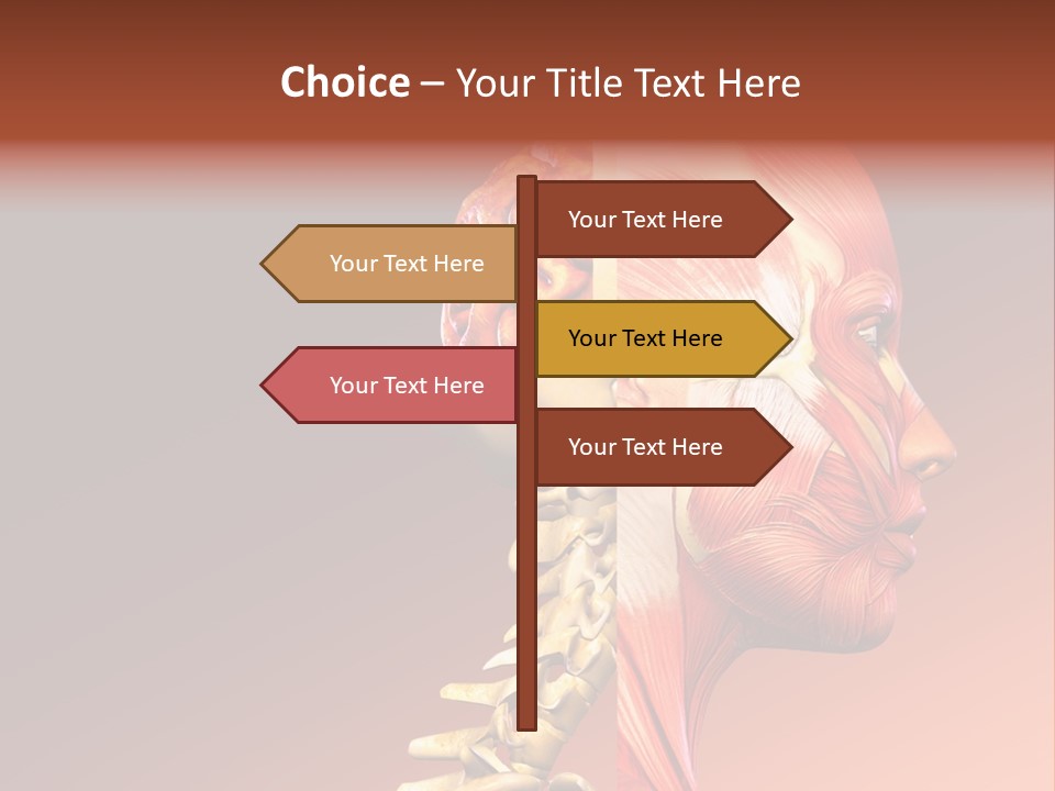 Skeleton Medic Tendon PowerPoint Template