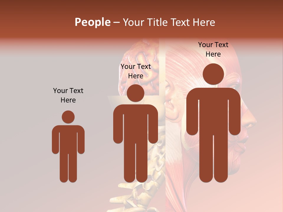 Skeleton Medic Tendon PowerPoint Template