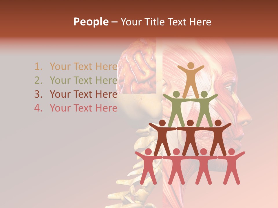 Skeleton Medic Tendon PowerPoint Template