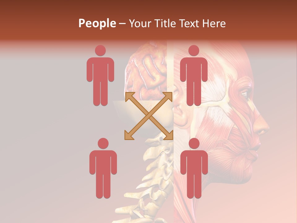 Skeleton Medic Tendon PowerPoint Template