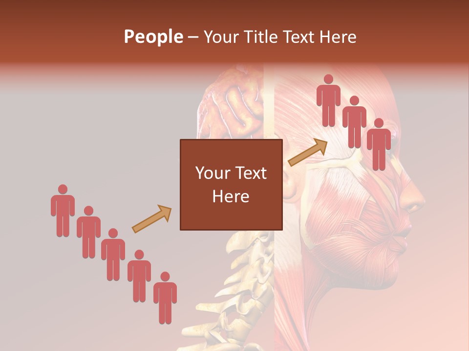 Skeleton Medic Tendon PowerPoint Template