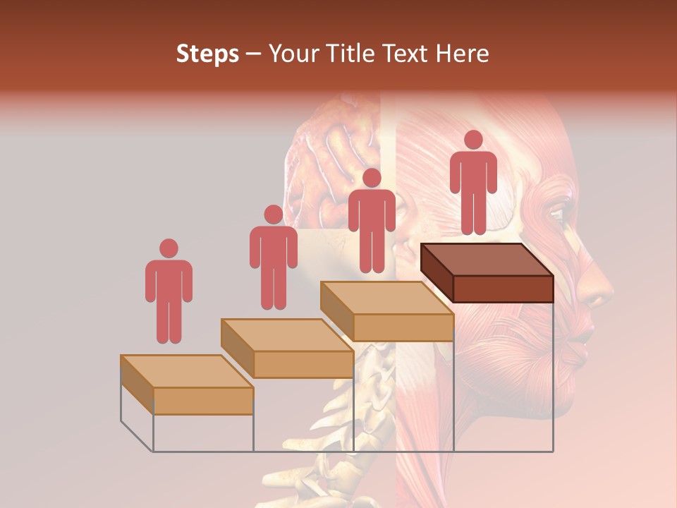 Skeleton Medic Tendon PowerPoint Template