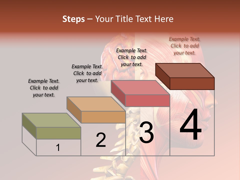 Skeleton Medic Tendon PowerPoint Template