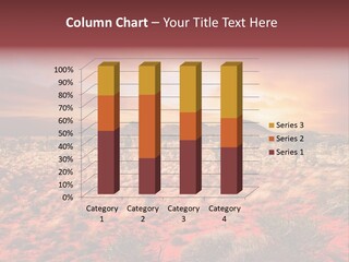 Sunset Northern Sky PowerPoint Template