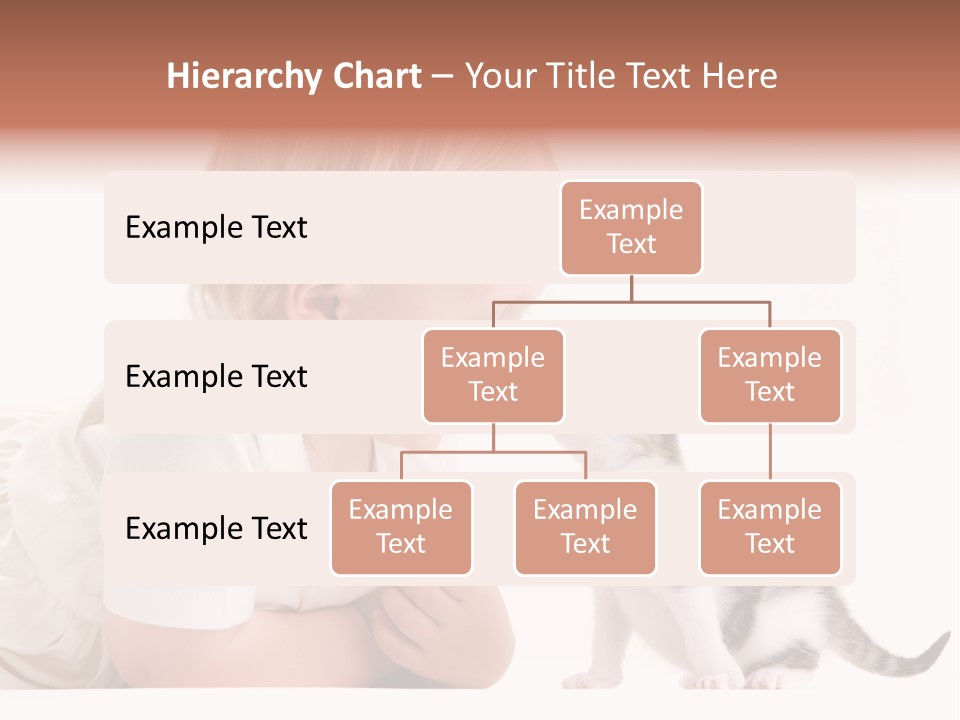 Nature Young Cat PowerPoint Template