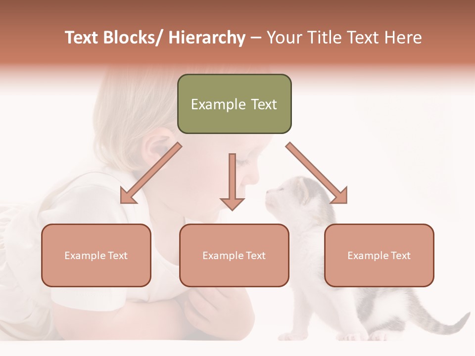 Nature Young Cat PowerPoint Template