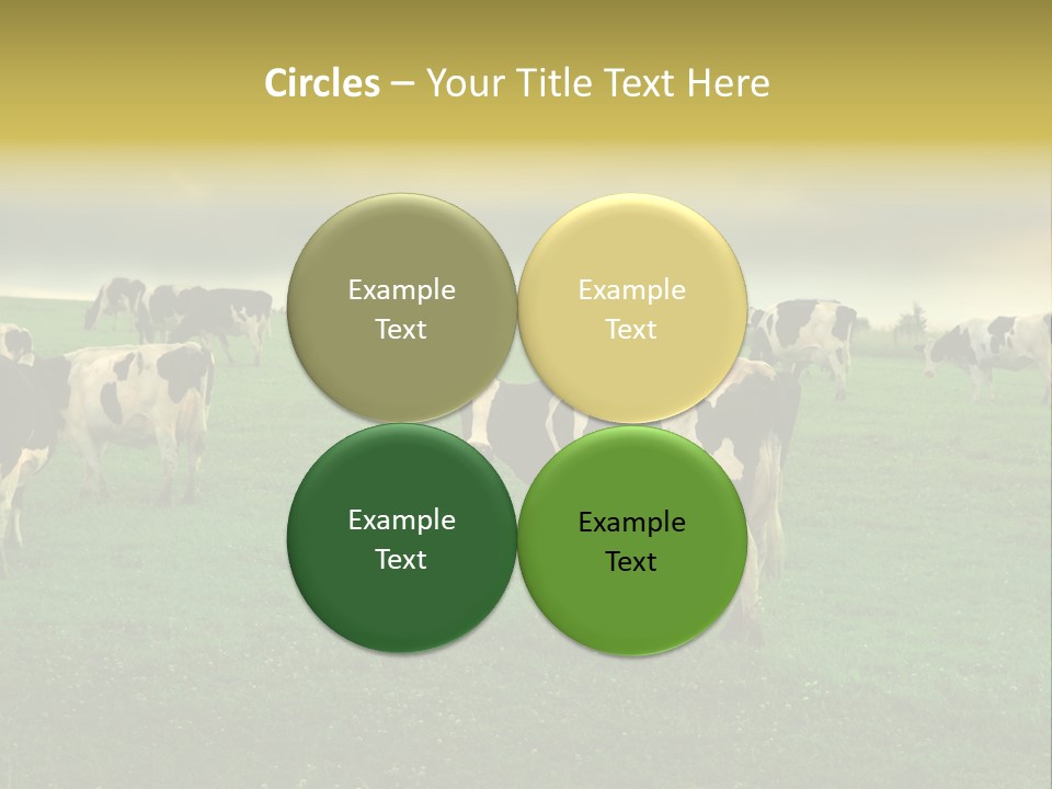 Meadow Farmland Grazing PowerPoint Template