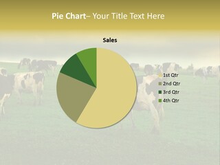 Meadow Farmland Grazing PowerPoint Template