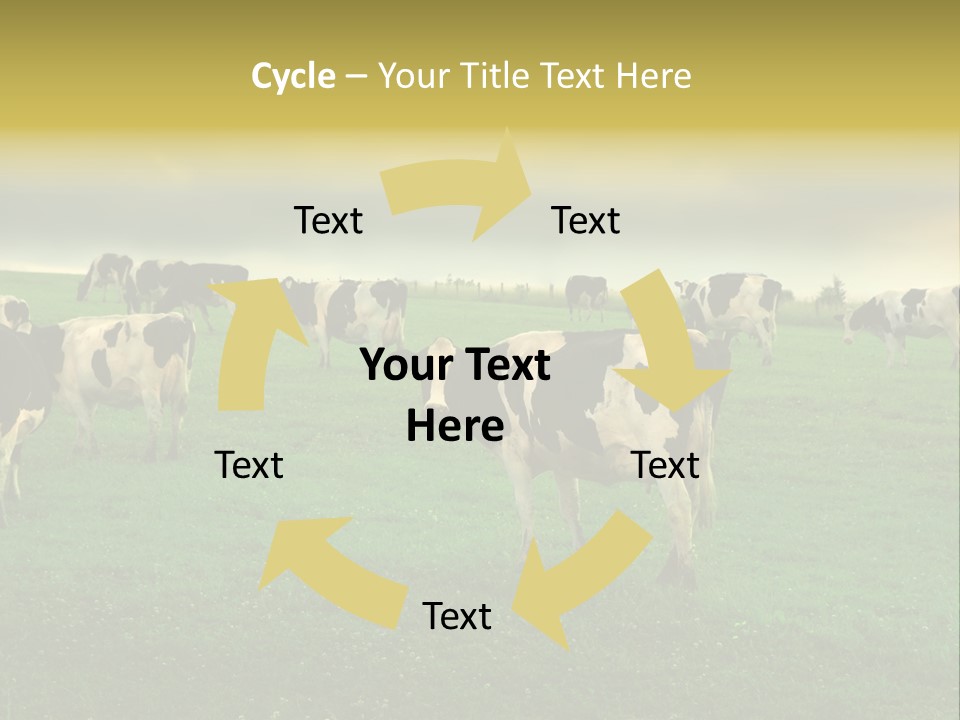 Meadow Farmland Grazing PowerPoint Template