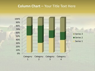 Meadow Farmland Grazing PowerPoint Template