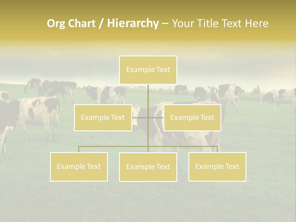 Meadow Farmland Grazing PowerPoint Template
