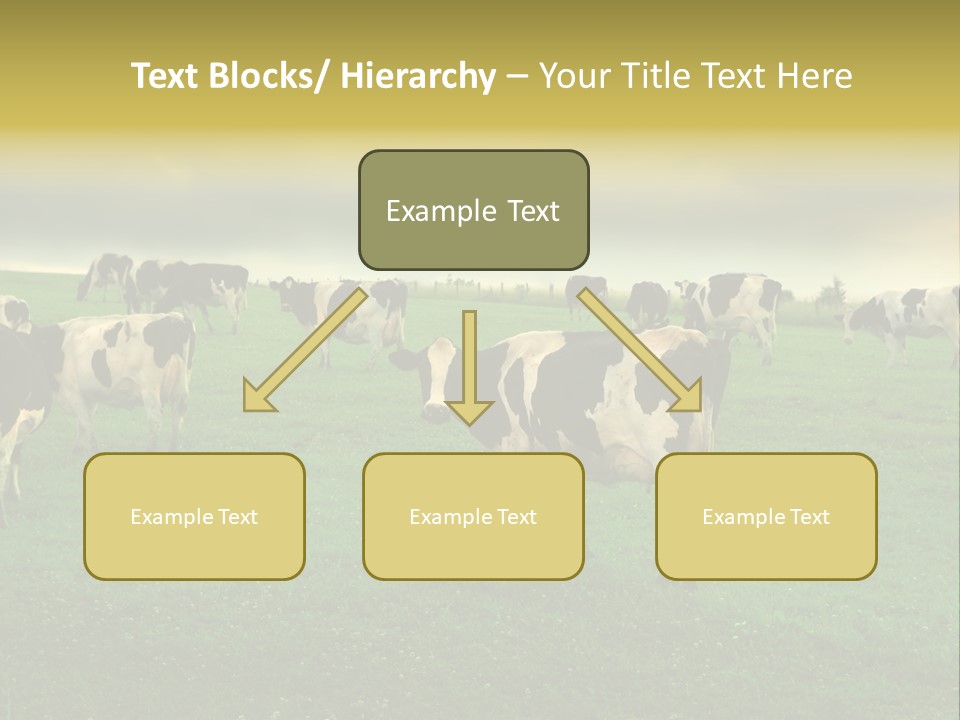 Meadow Farmland Grazing PowerPoint Template