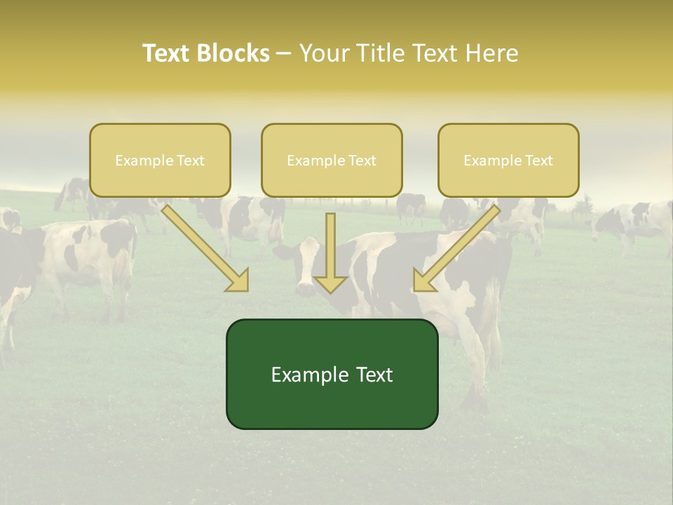 Meadow Farmland Grazing PowerPoint Template