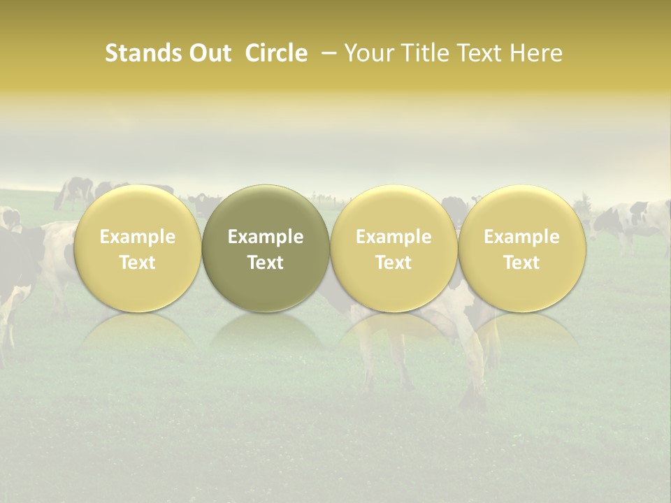 Meadow Farmland Grazing PowerPoint Template