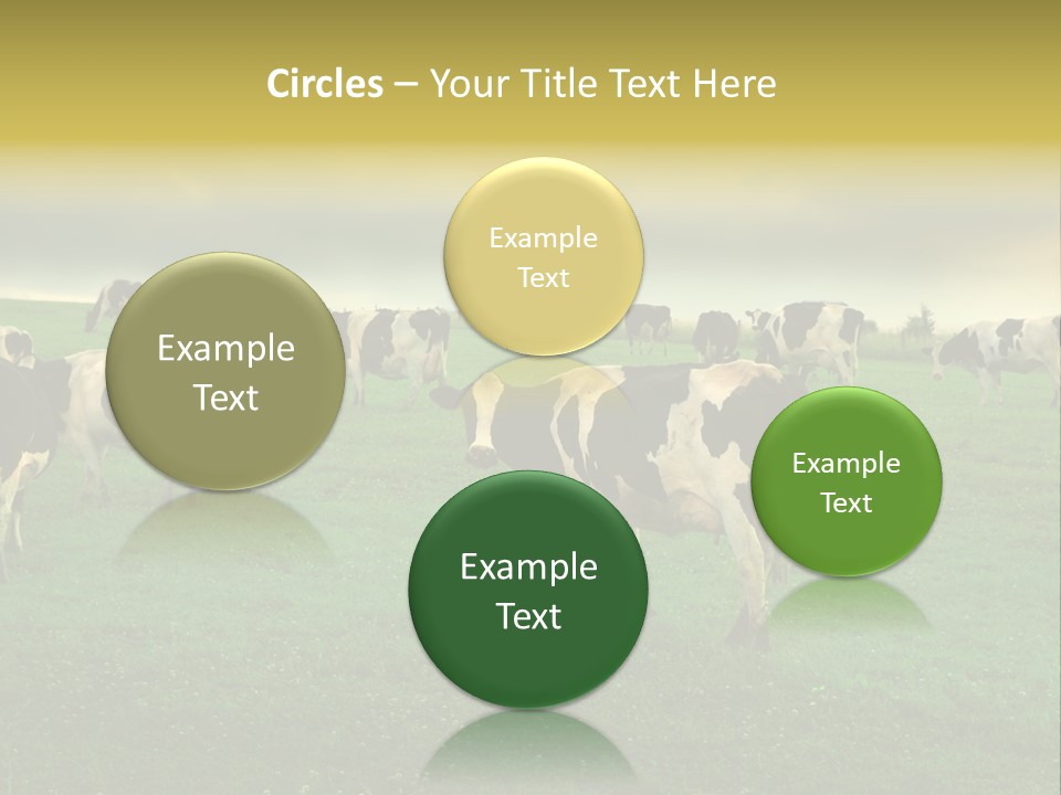 Meadow Farmland Grazing PowerPoint Template