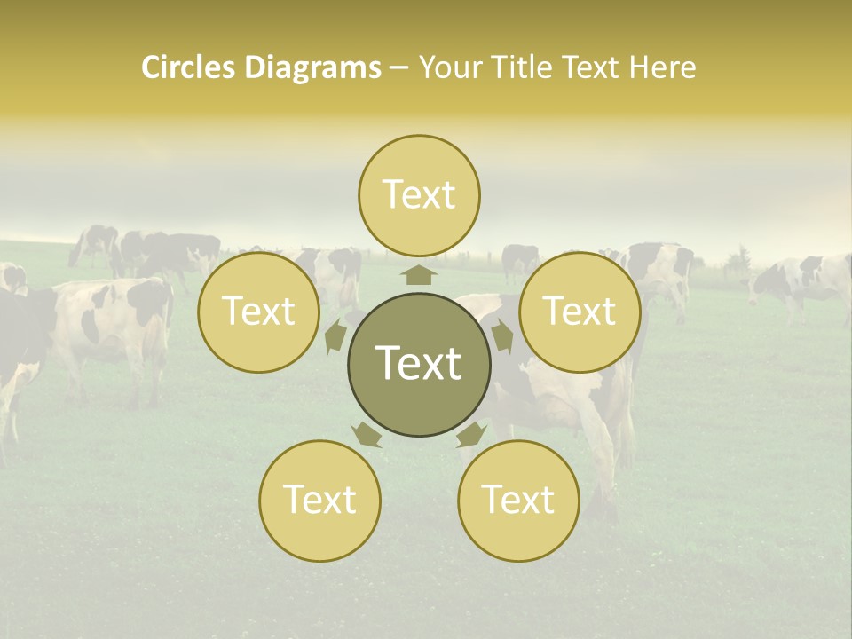 Meadow Farmland Grazing PowerPoint Template