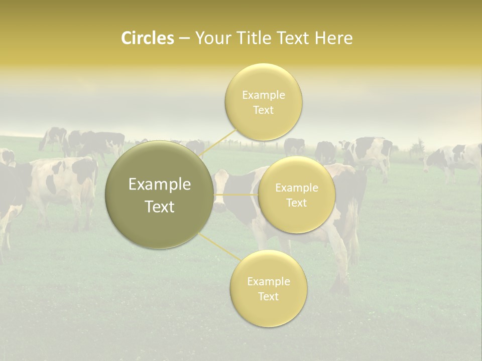 Meadow Farmland Grazing PowerPoint Template