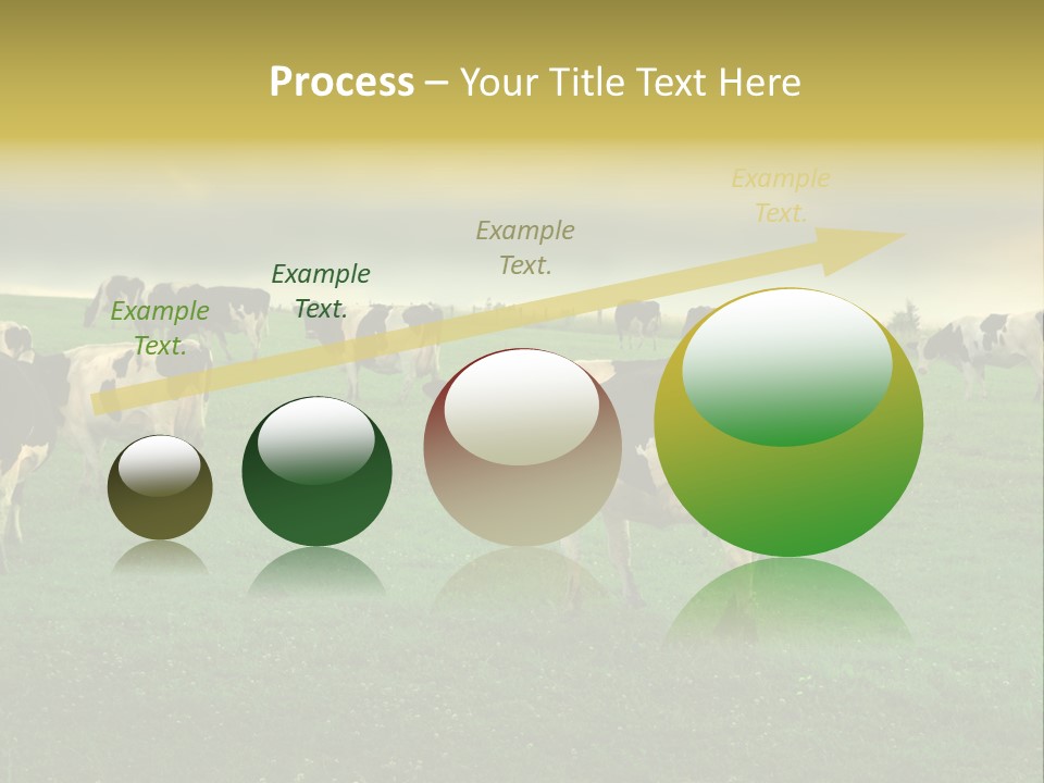 Meadow Farmland Grazing PowerPoint Template