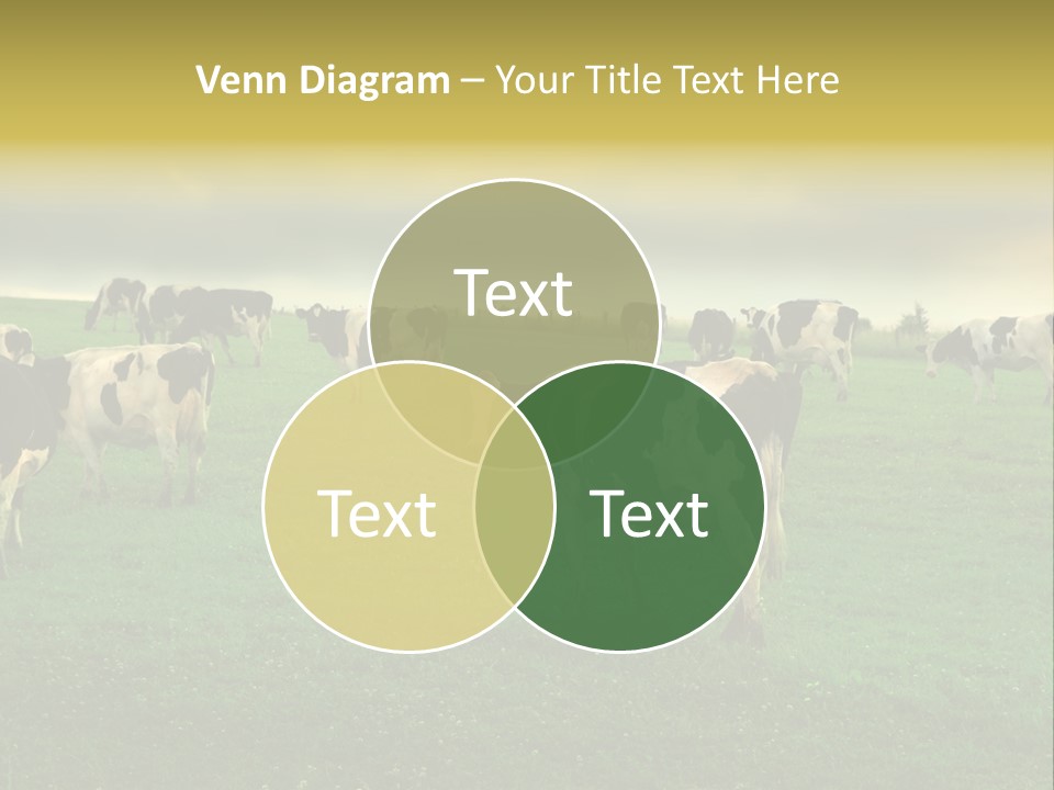Meadow Farmland Grazing PowerPoint Template