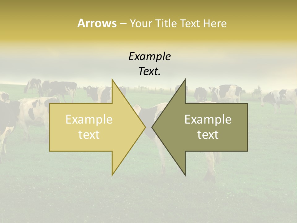 Meadow Farmland Grazing PowerPoint Template