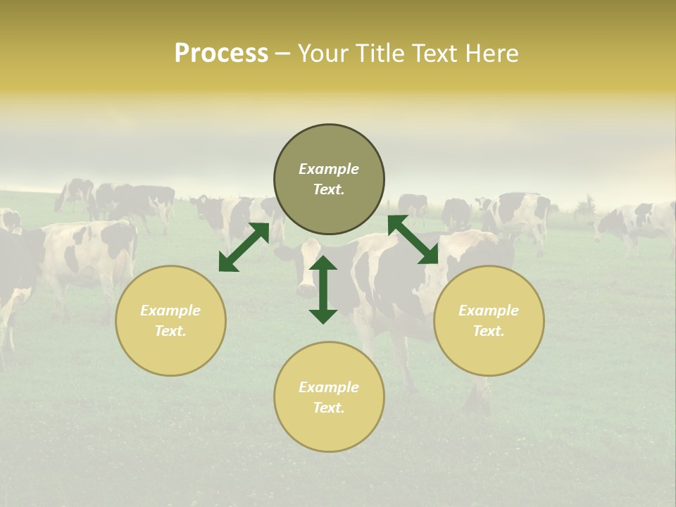 Meadow Farmland Grazing PowerPoint Template