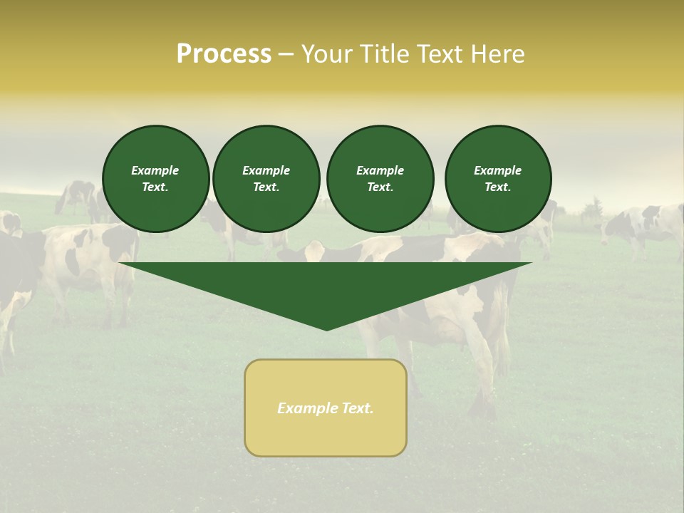 Meadow Farmland Grazing PowerPoint Template