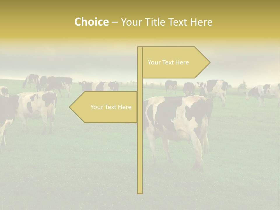 Meadow Farmland Grazing PowerPoint Template