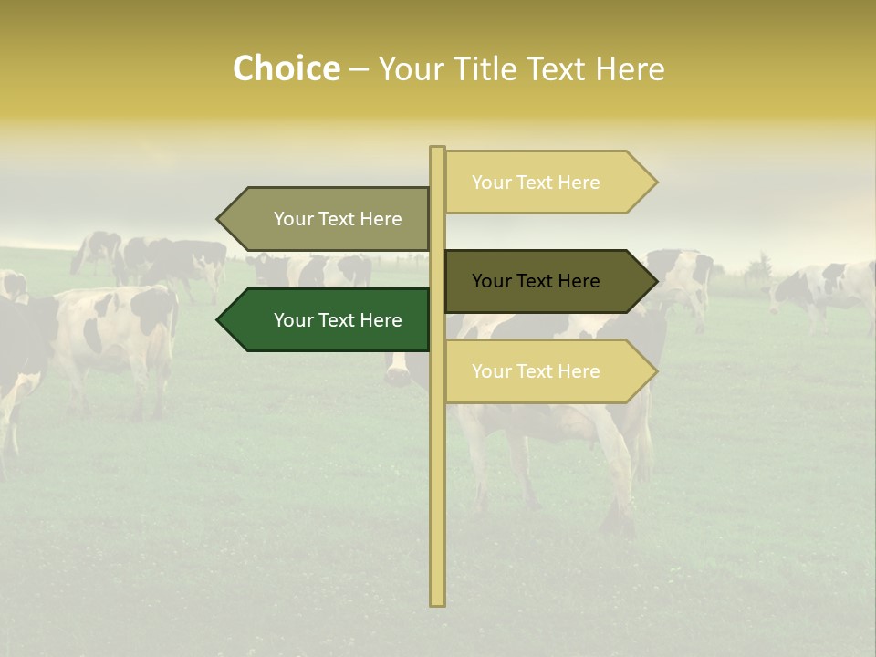 Meadow Farmland Grazing PowerPoint Template