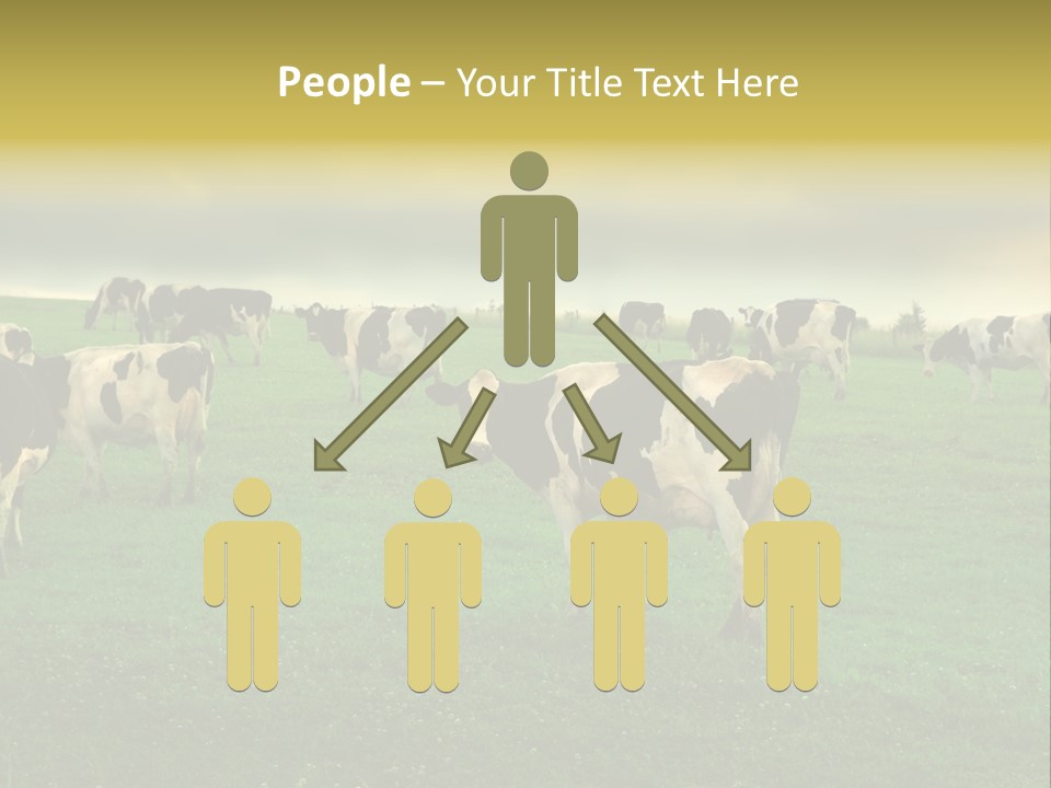 Meadow Farmland Grazing PowerPoint Template