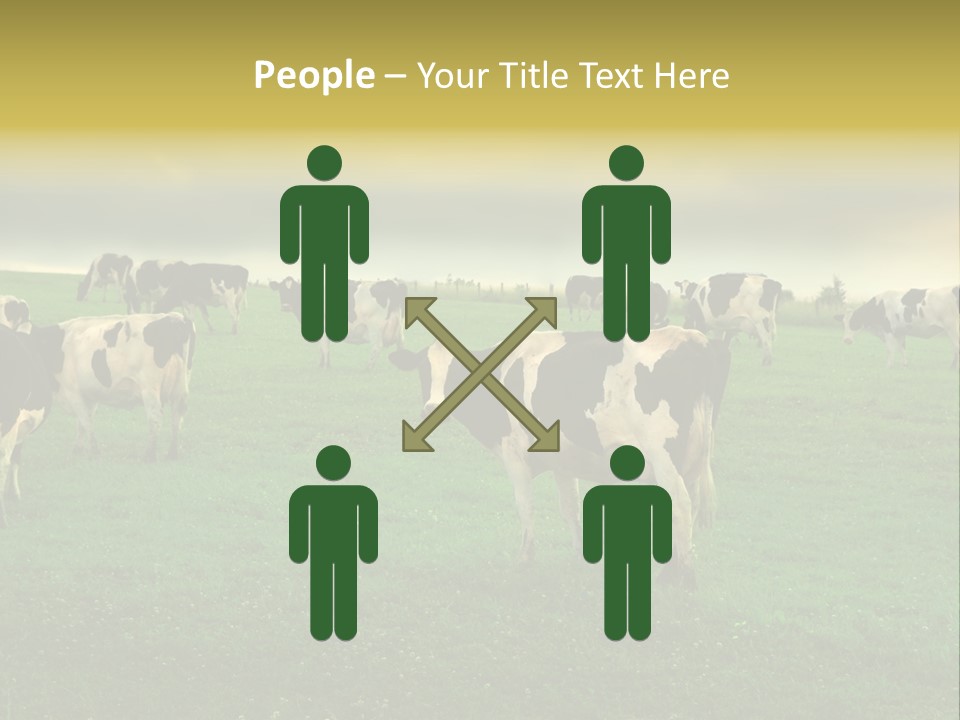 Meadow Farmland Grazing PowerPoint Template