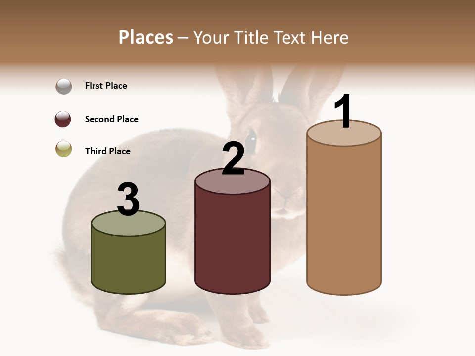 Whiskers Animal Rabbit PowerPoint Template