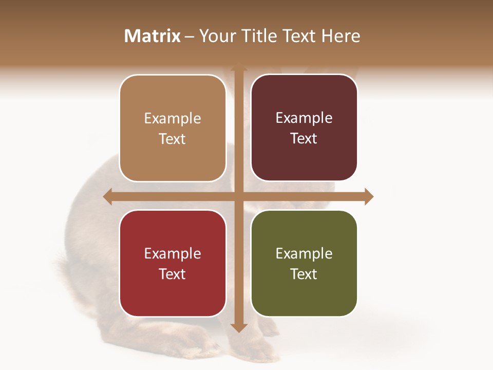 Whiskers Animal Rabbit PowerPoint Template