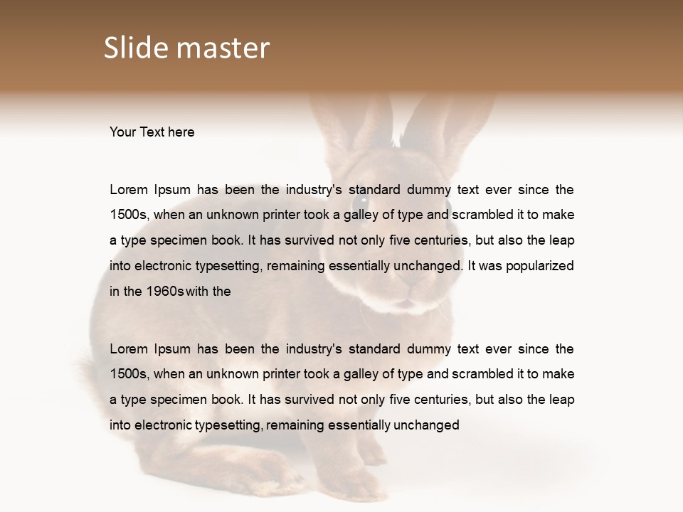 Whiskers Animal Rabbit PowerPoint Template