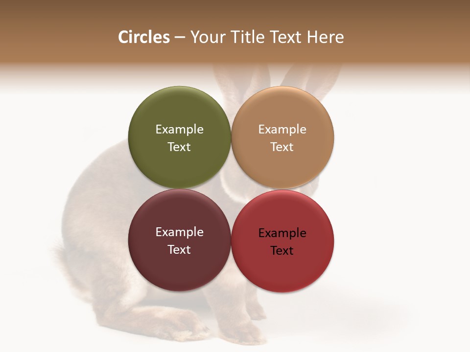 Whiskers Animal Rabbit PowerPoint Template