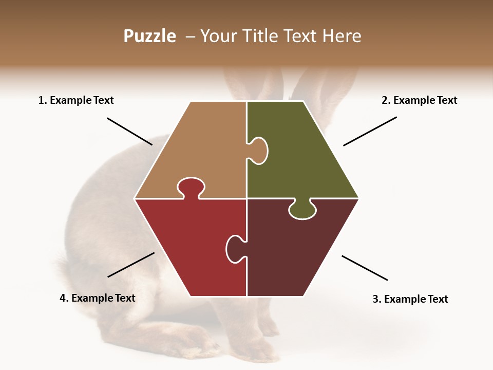 Whiskers Animal Rabbit PowerPoint Template