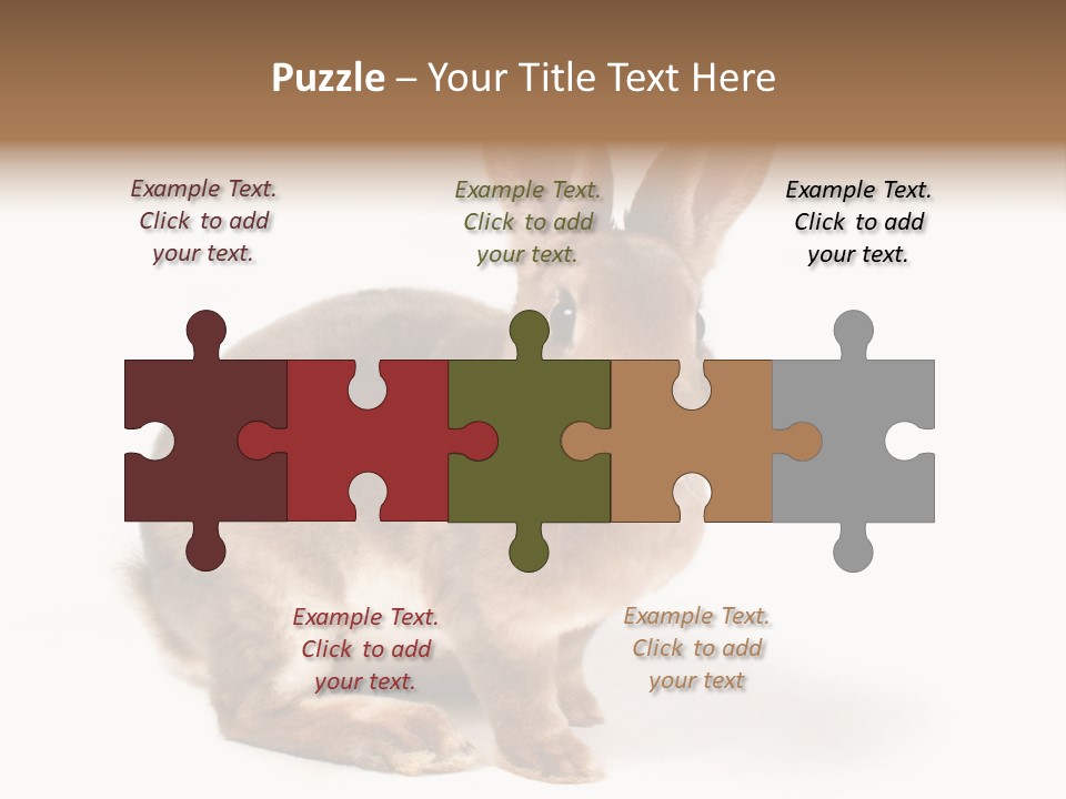 Whiskers Animal Rabbit PowerPoint Template