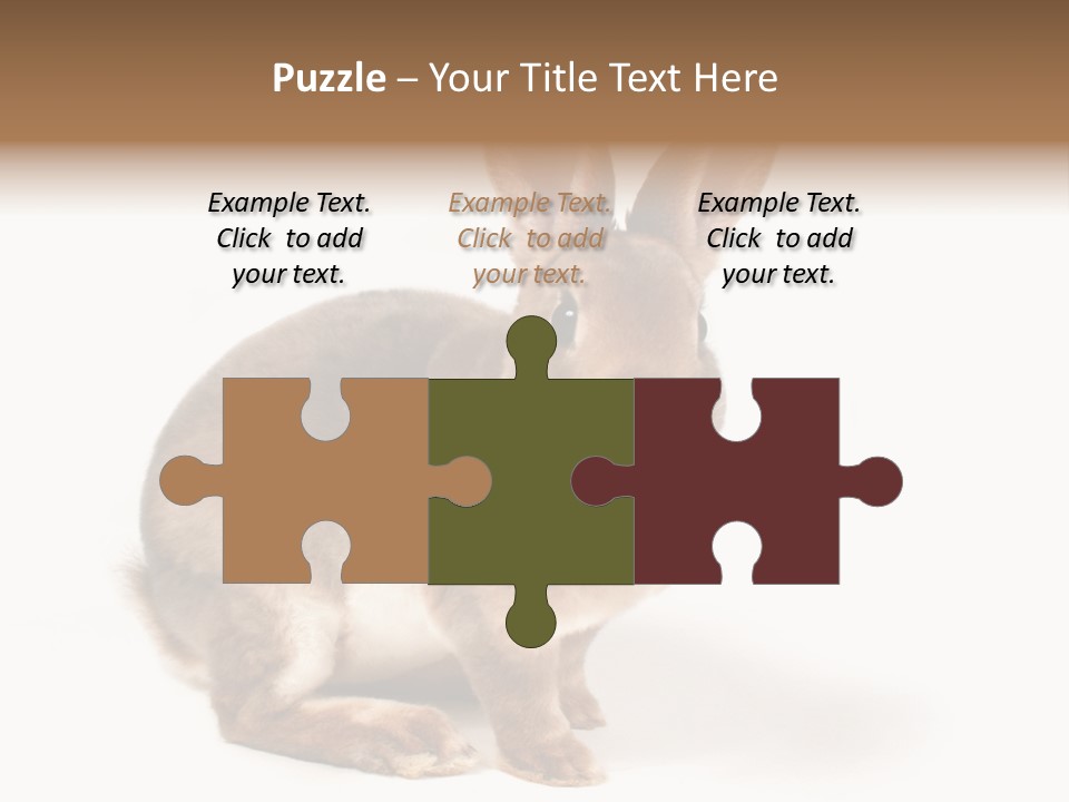 Whiskers Animal Rabbit PowerPoint Template