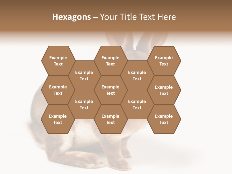 Whiskers Animal Rabbit PowerPoint Template