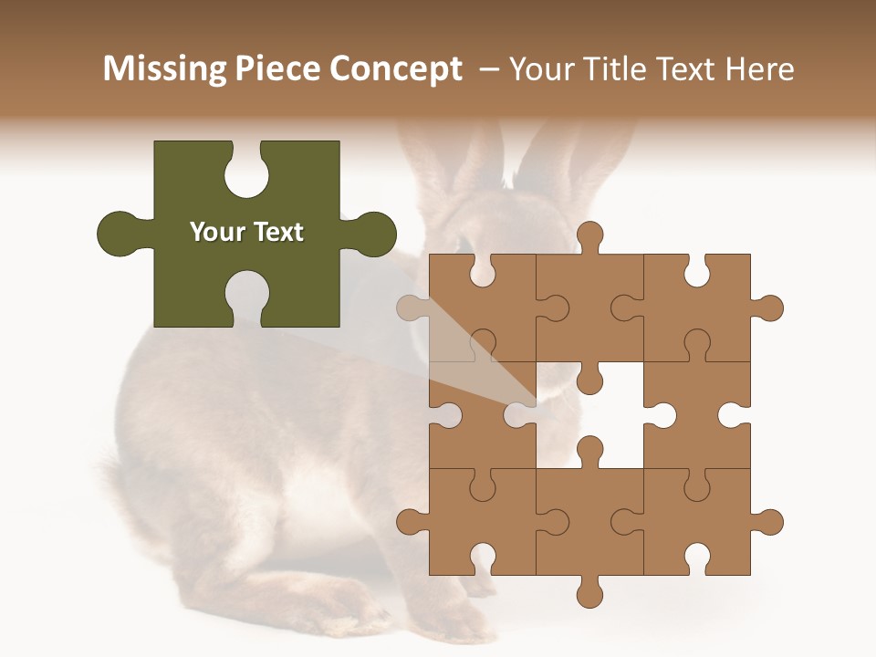 Whiskers Animal Rabbit PowerPoint Template